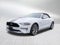 2023 Ford Mustang GT Premium