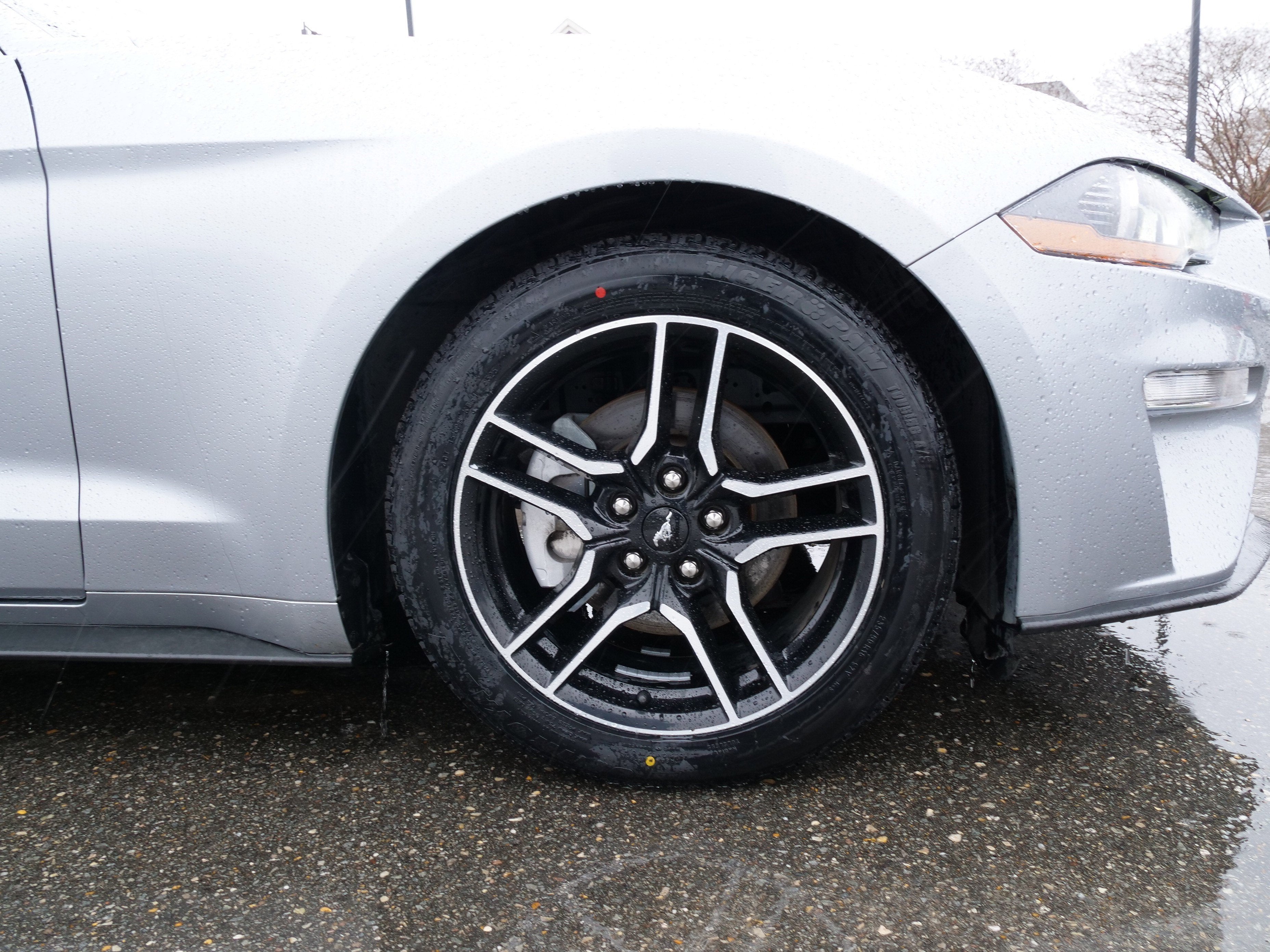 2022 Ford Mustang EcoBoost