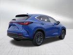 2025 Lexus NX NX 250 Premium