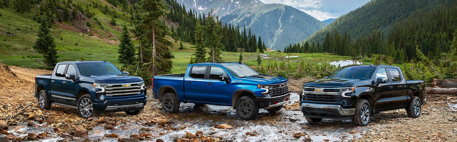 2022 Chevrolet Silverado 1500 in Lagrange NC